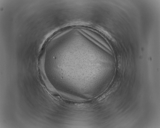 X0000071791264200607211613