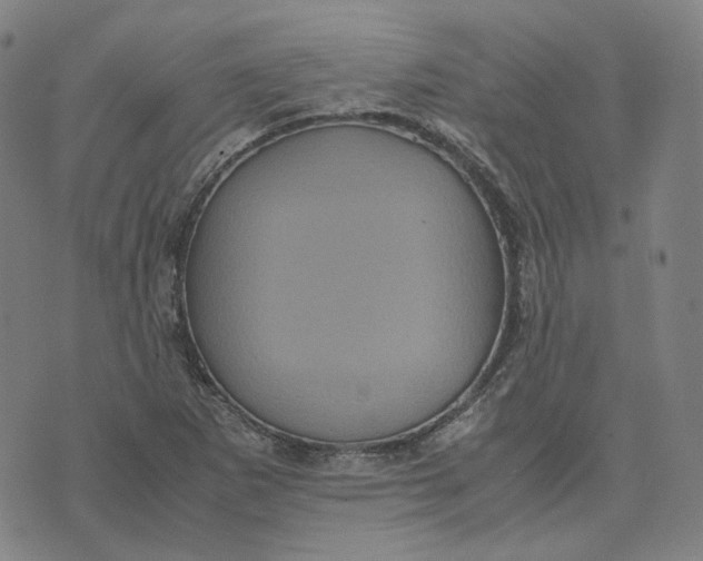 X0000071791265200607211613