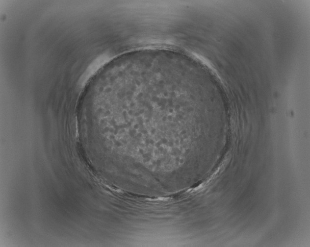 X0000071791267200607211613