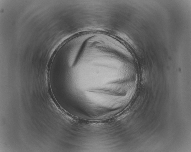 X0000071791268200607211613