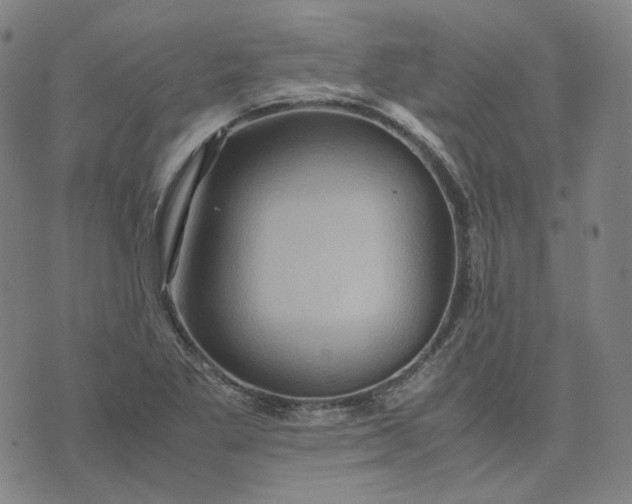 X0000071791269200607211613