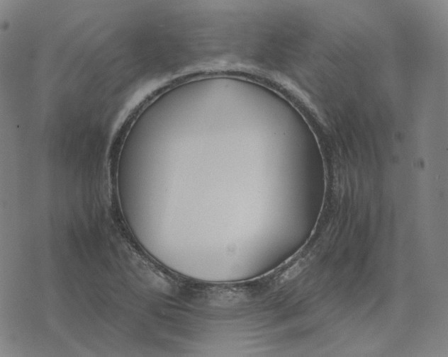 X0000071791270200607211613