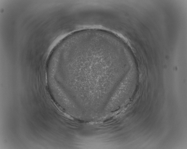 X0000071791271200607211613