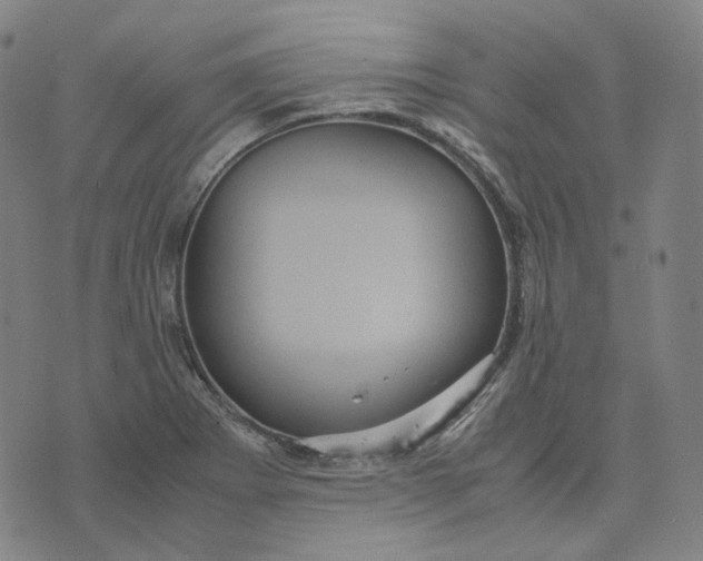 X0000071791273200607211613