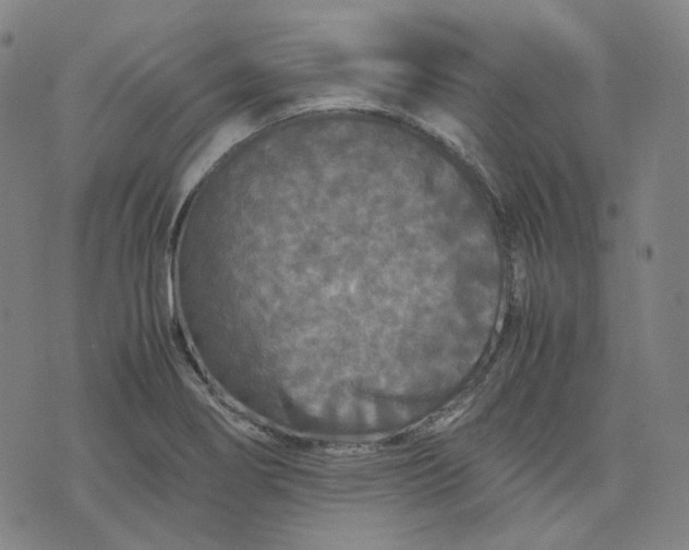 X0000071791274200607211613