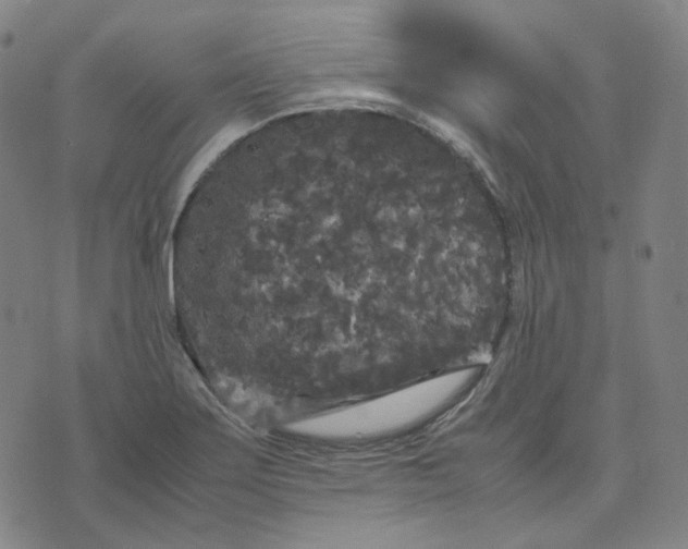 X0000071791275200607211613