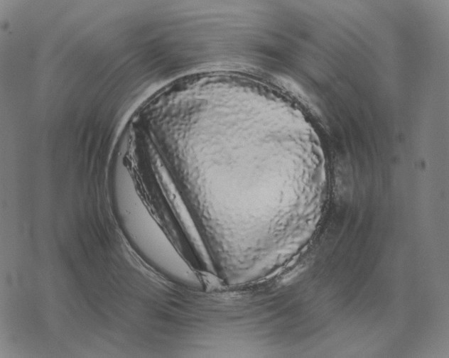 X0000071791276200607211613