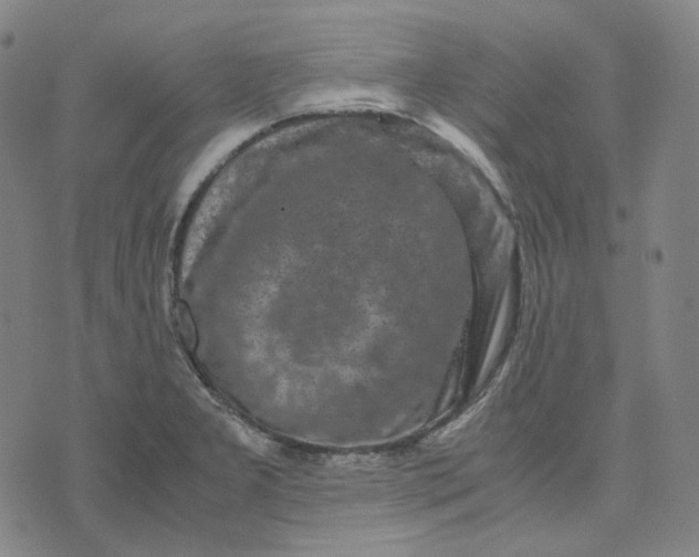 X0000071791277200607211613