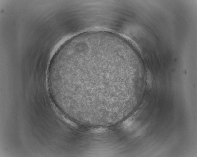 X0000071791278200607211613