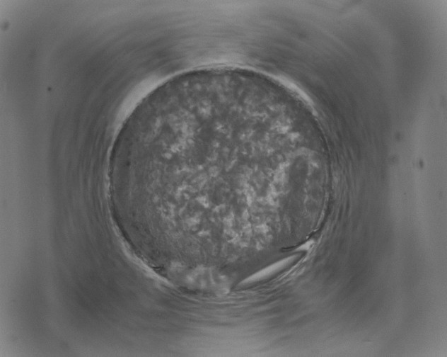 X0000071791279200607211613