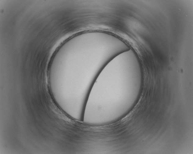 X0000071791280200607211613