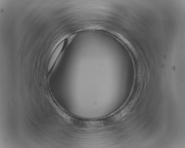 X0000071791281200607211613