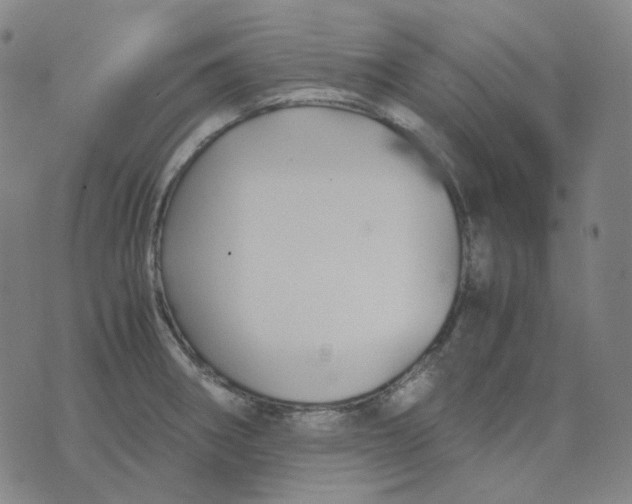 X0000071791282200607211613