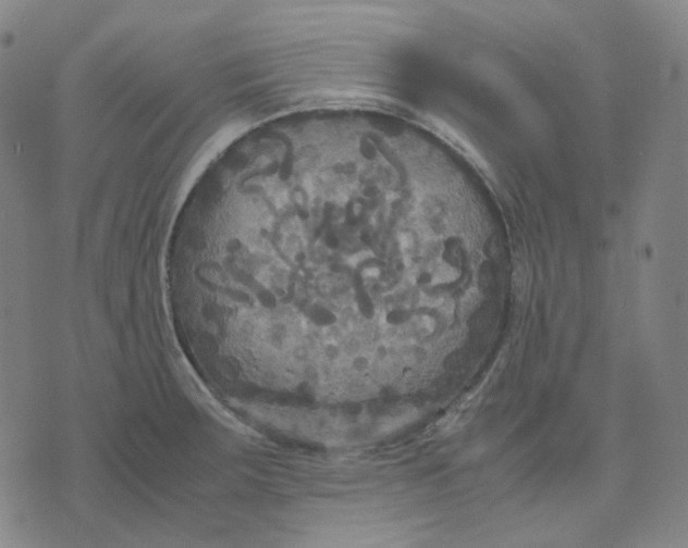 X0000071791283200607211613