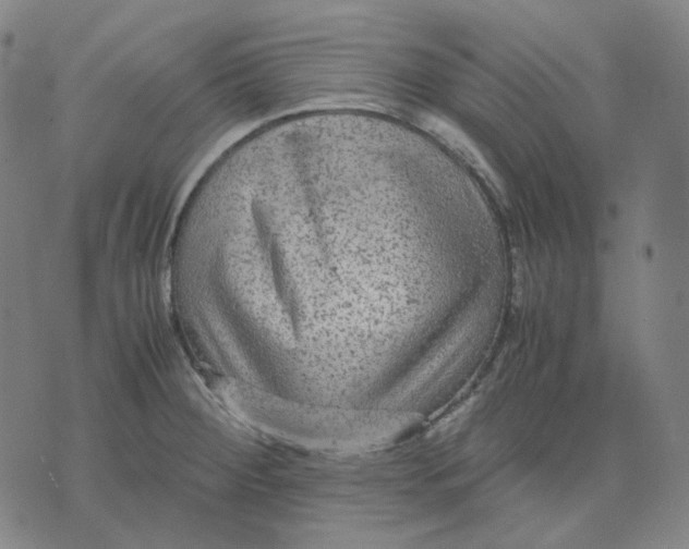 X0000071791284200607211613