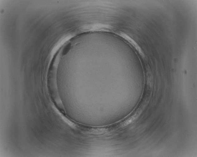 X0000071791285200607211613