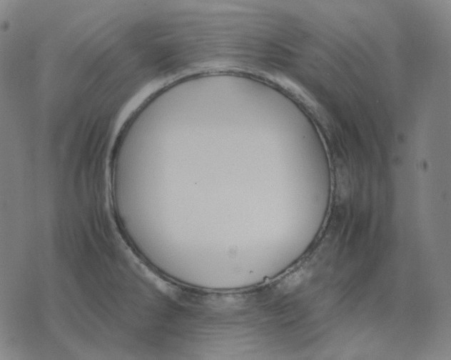 X0000071791286200607211613