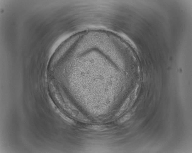 X0000071791287200607211613