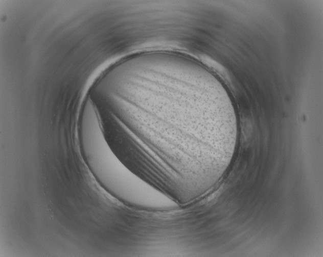 X0000071791288200607211613