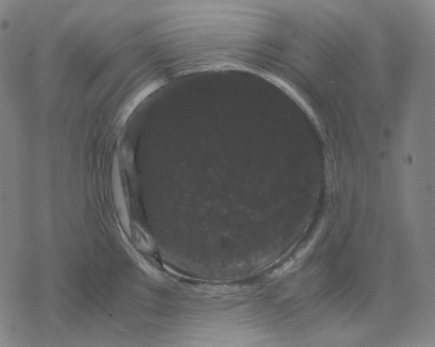 X0000071791289200607211613