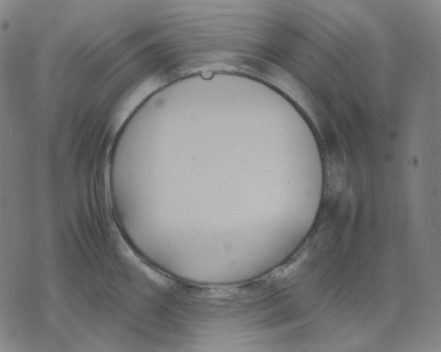 X0000071791290200607211613