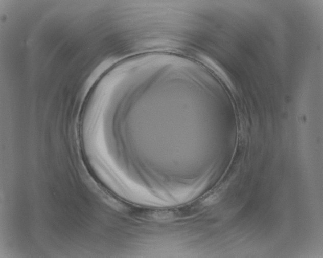 X0000071791291200607211613