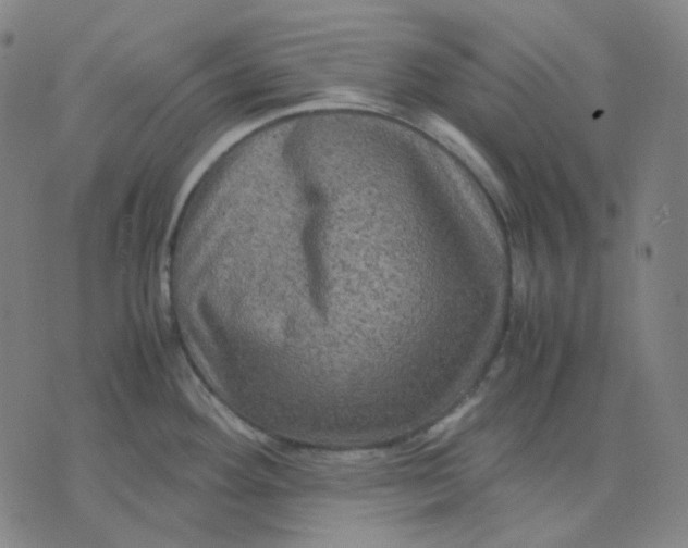 X0000071791292200607211613