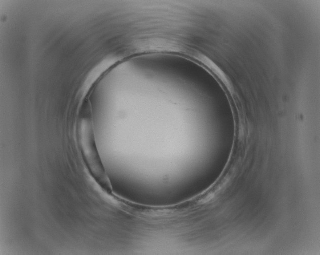 X0000071791293200607211613