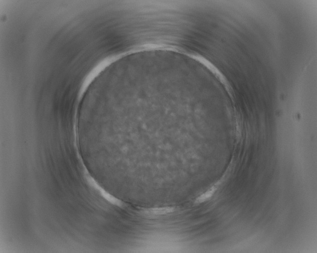 X0000071791294200607211612