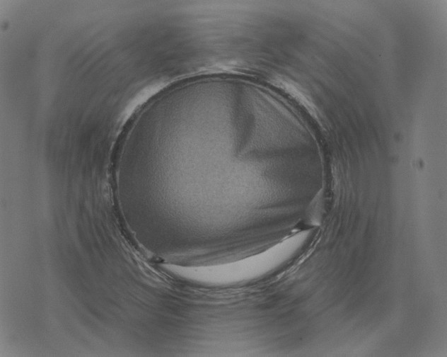 X0000071791308200607211612