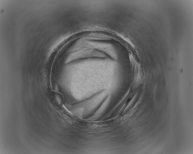 X0000071791311200607211612