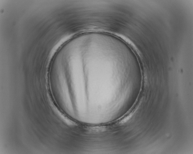 X0000071791333200607211612