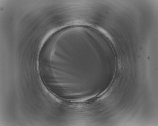 X0000071791334200607211612