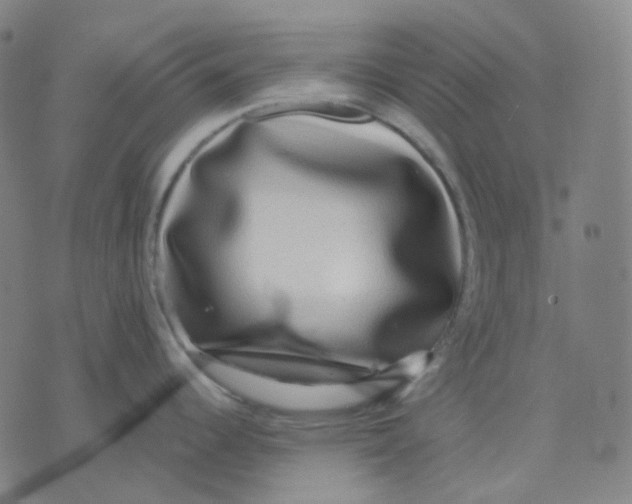 X0000071791344200607211612