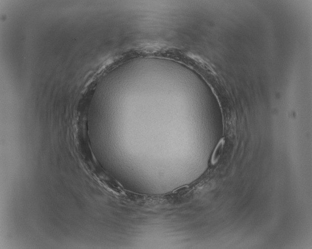 X0000071791349200607211612