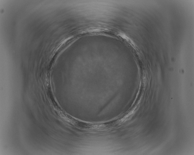 X0000071791353200607211612