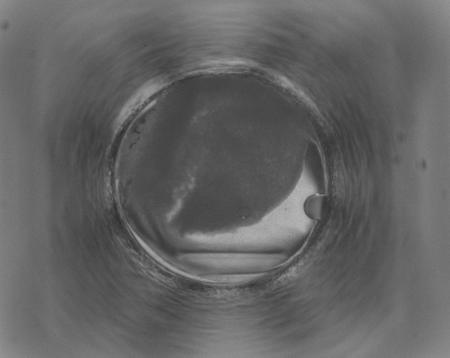 X0000071791362200607211611