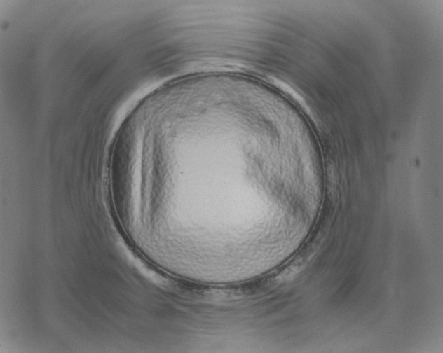 X0000071791379200607211611