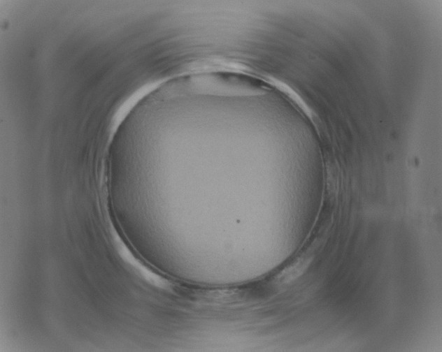 X0000071791387200607211611