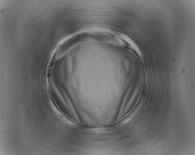 X0000071791388200607211611