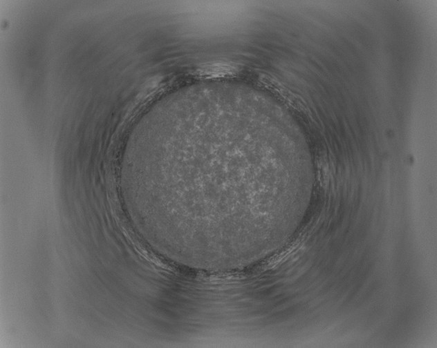 X0000071791393200607211610