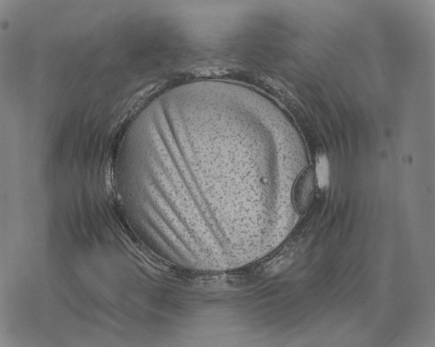 X0000071791444200607211610