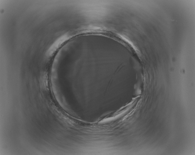 X0000071791455200607211610