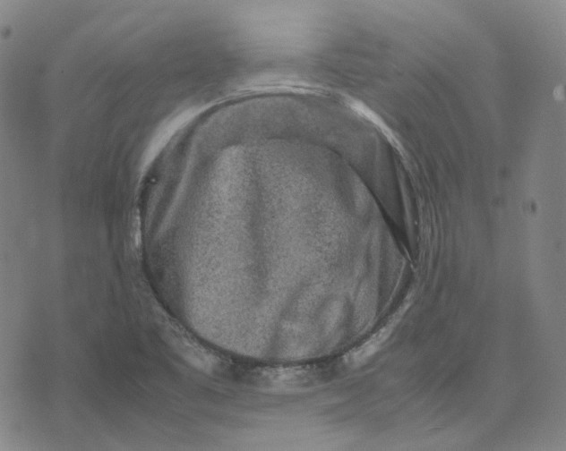 X0000071791461200607211610