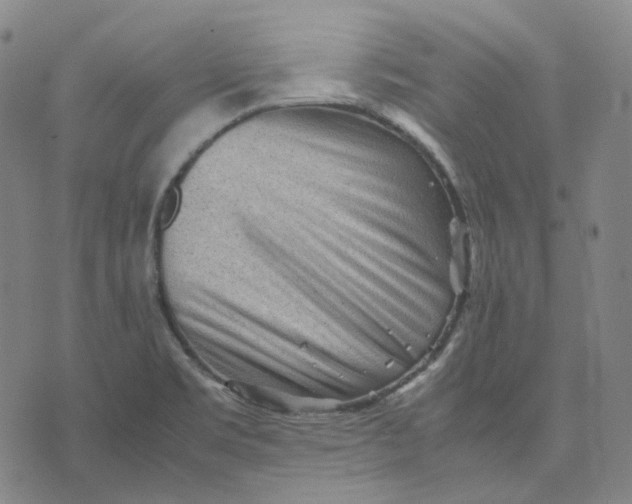 X0000071791469200607211610