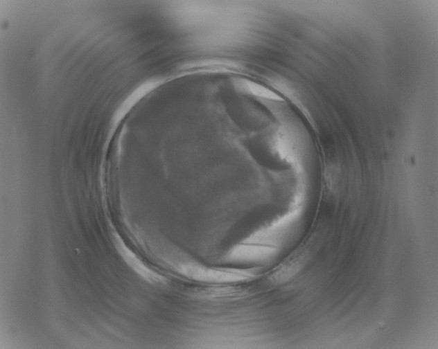 X0000071791482200607211609