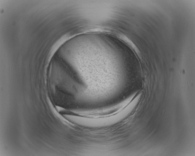 X0000071791483200607211609