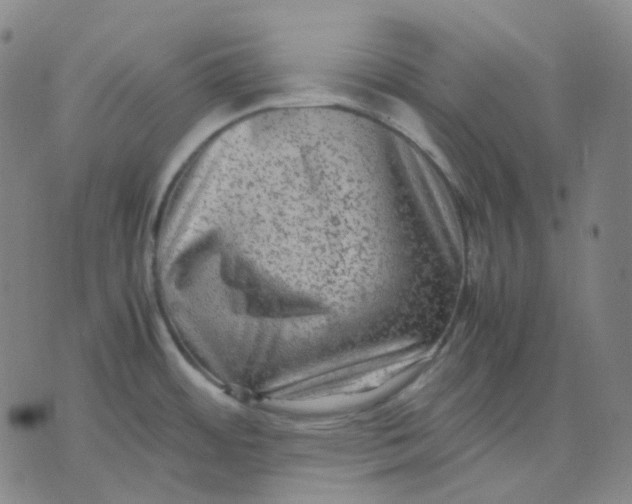 X0000071791484200607211609