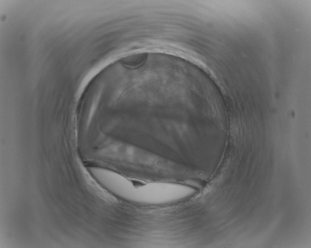 X0000071791522200607211609