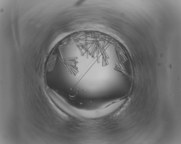 X0000071791525200607211609